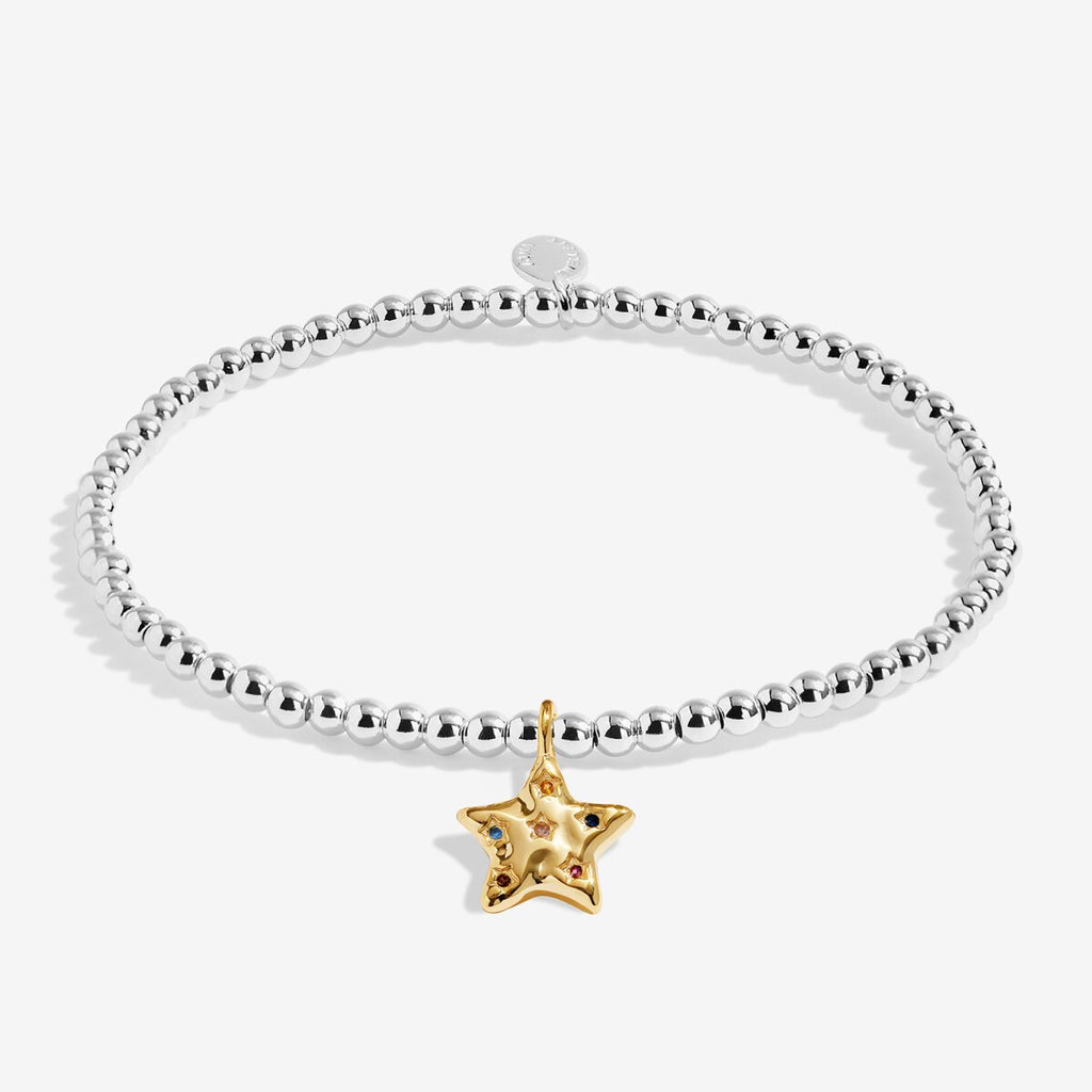 A Little 'Some Call It Chaos We Call It Family' Bracelet In Silver and Gold Plating