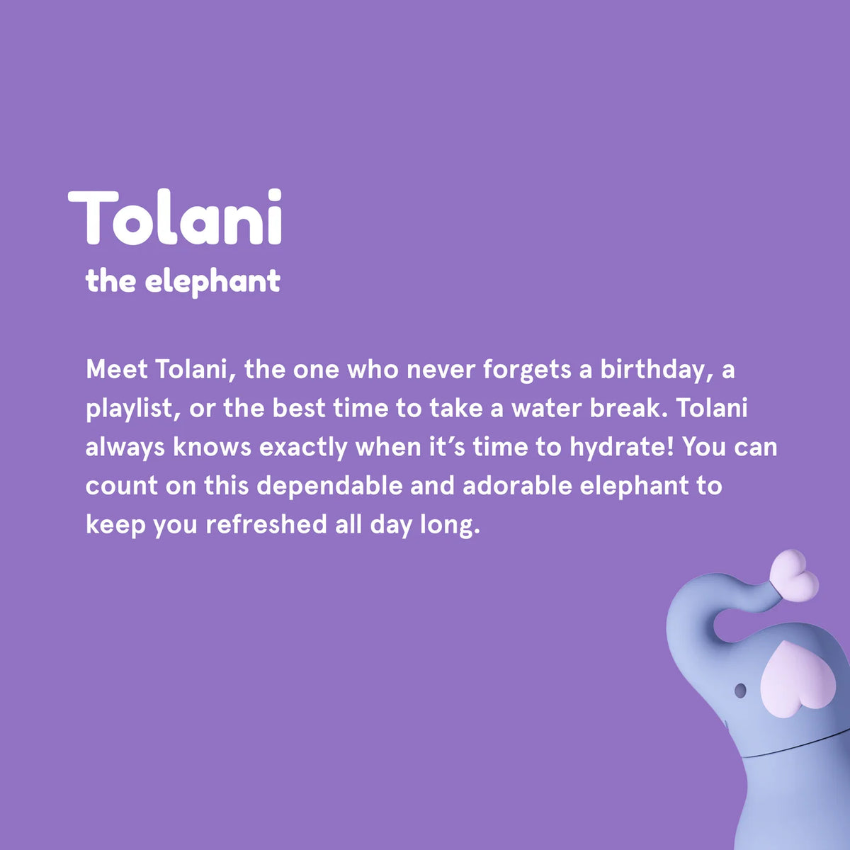 Elephant Bestie Bottle - Asobu