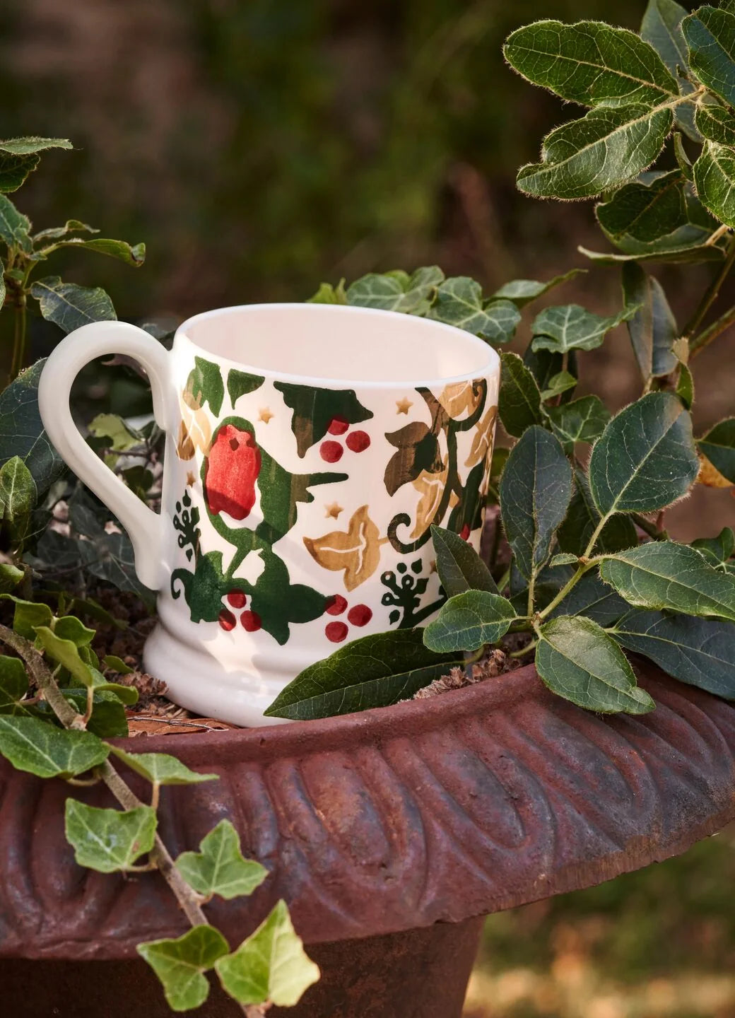 Emma Bridgewater Dawn Chorus Robin 1/2 Pint Mug
