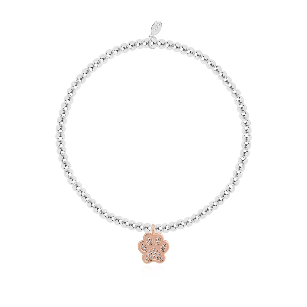 A Little Love Has Four Paws Bracelet