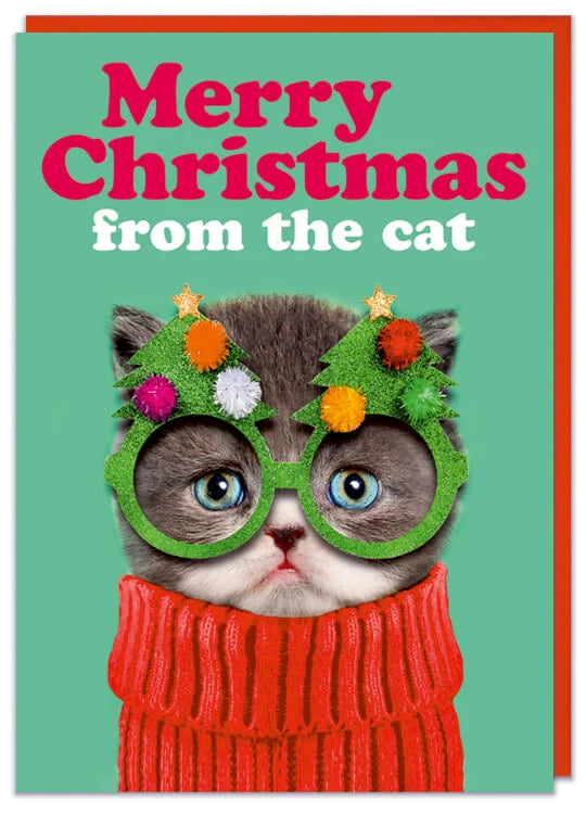 Merry Christmas from the Cat