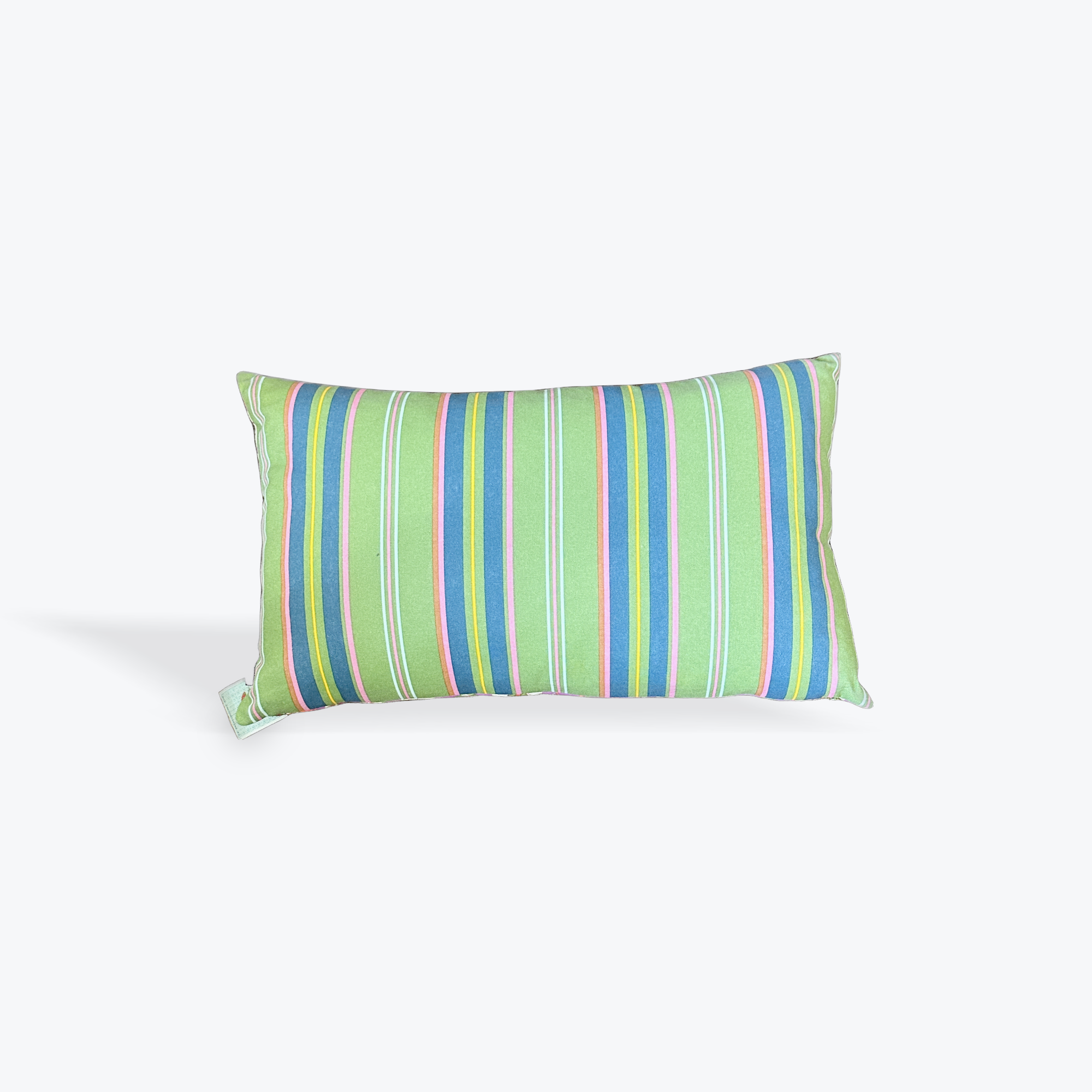 Les Touristes Rectangular Cushion
