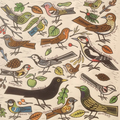 Garden Birds - Card