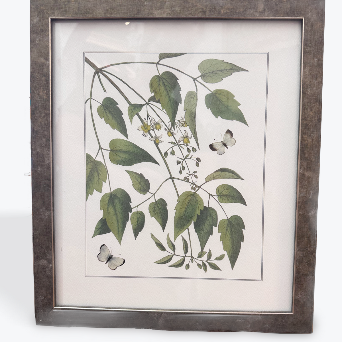 Natural Radiance Framed Image
