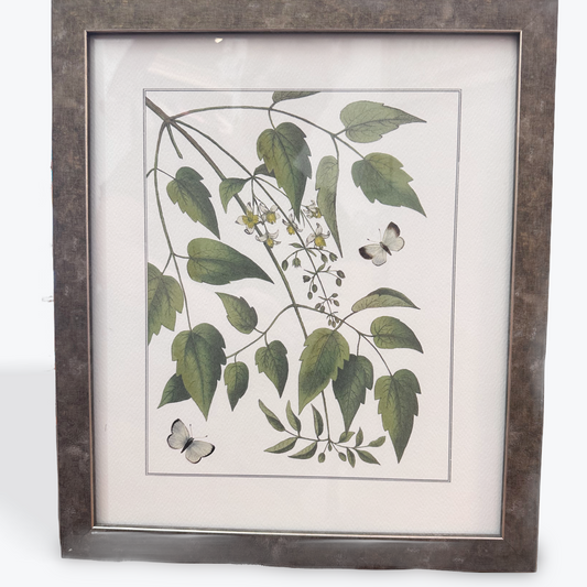 Natural Radiance Framed Image
