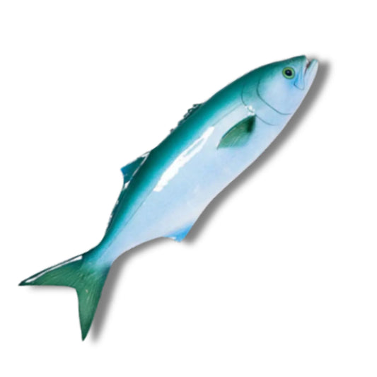 Serra / Bluefish Ceramic Fish