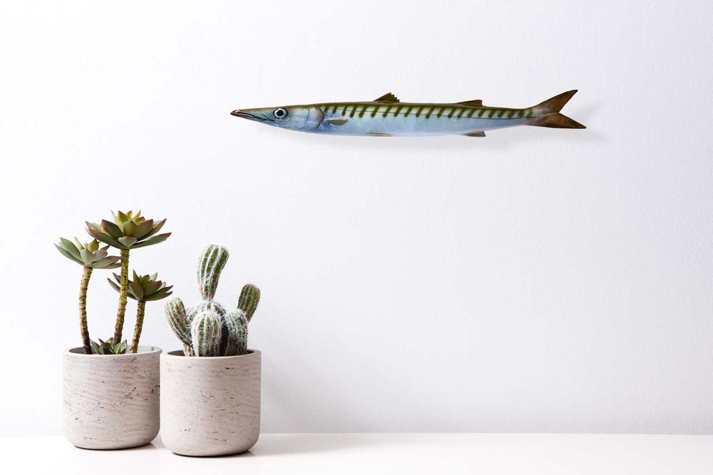 Barracuda Ceramic Fish