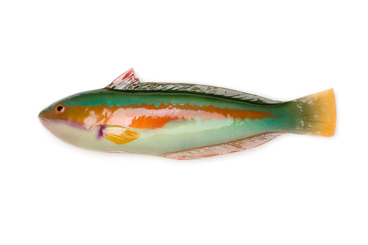 Rainbow Wrasse Ceramic Fish