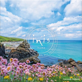 A scenic coastal landscape in Cornwall, England, with pink and yellow wildflowers in the foreground, rocky shoreline, turquoise sea, and a blue sky with white clouds. A large circular Inis Home logo watermark is centered over the scene.