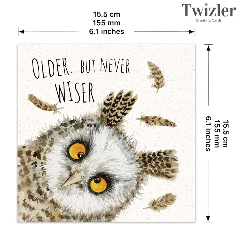 Funny Card Owl Never Wiser