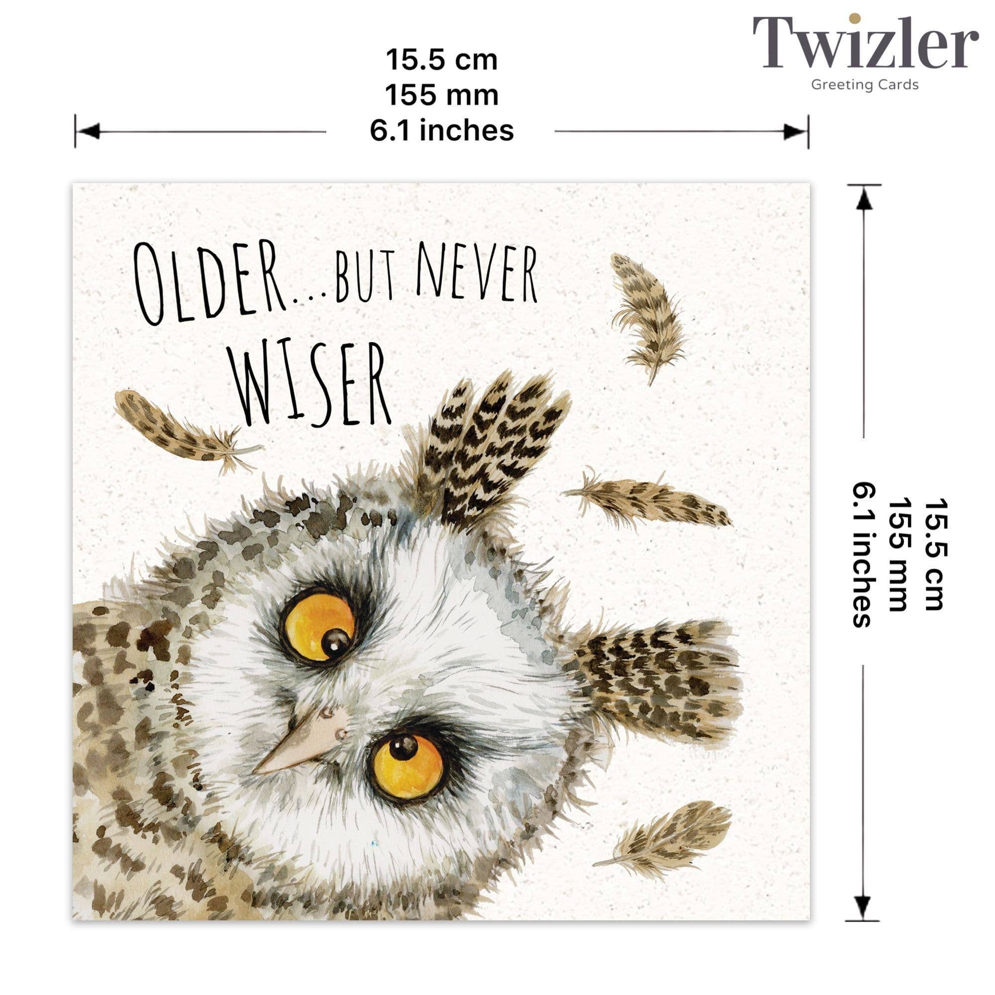 Funny Card Owl Never Wiser