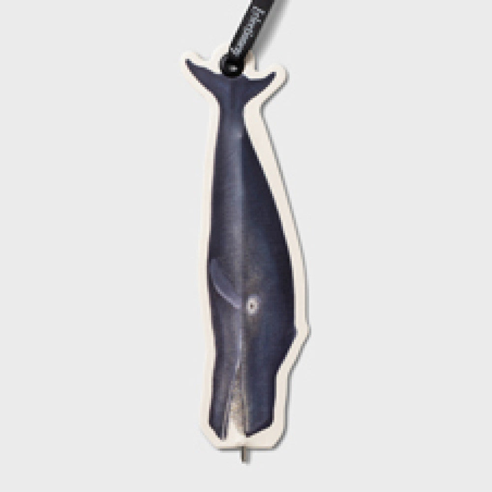 Eclectionery Bookmark Pens Starter