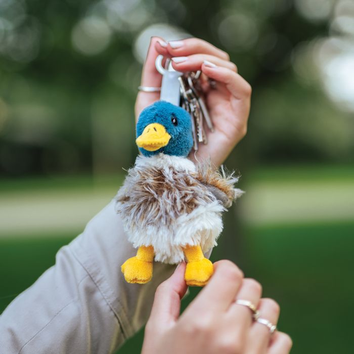 WEBSTER - Wrendale Duck