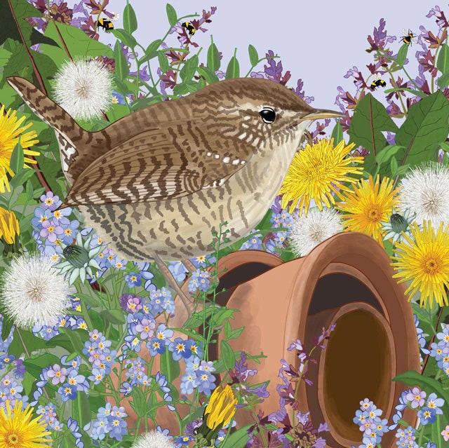 Jenny Wren - Greeting Card