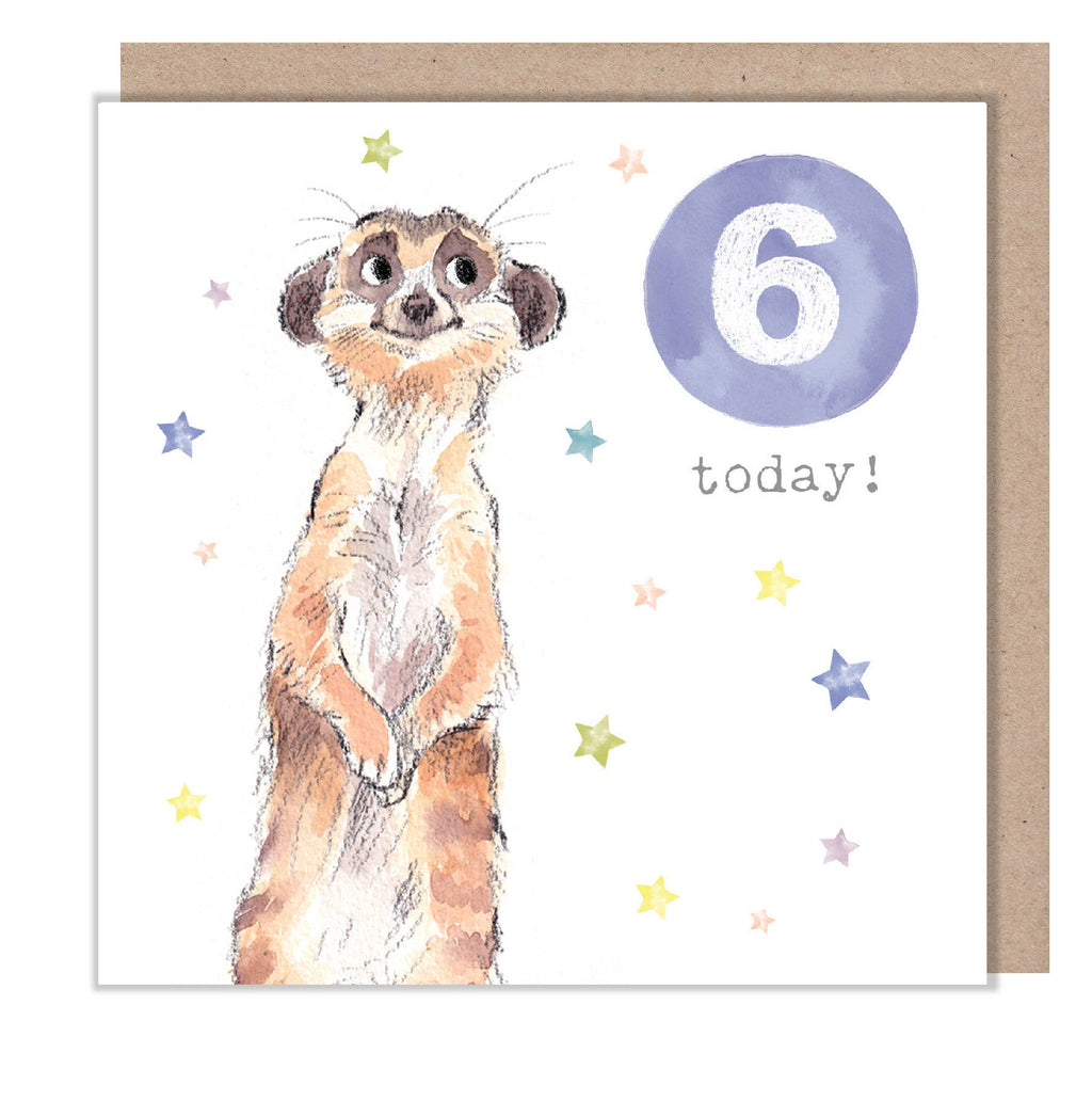 Age 6 Birthday Card - Meerkat design - Party Time
