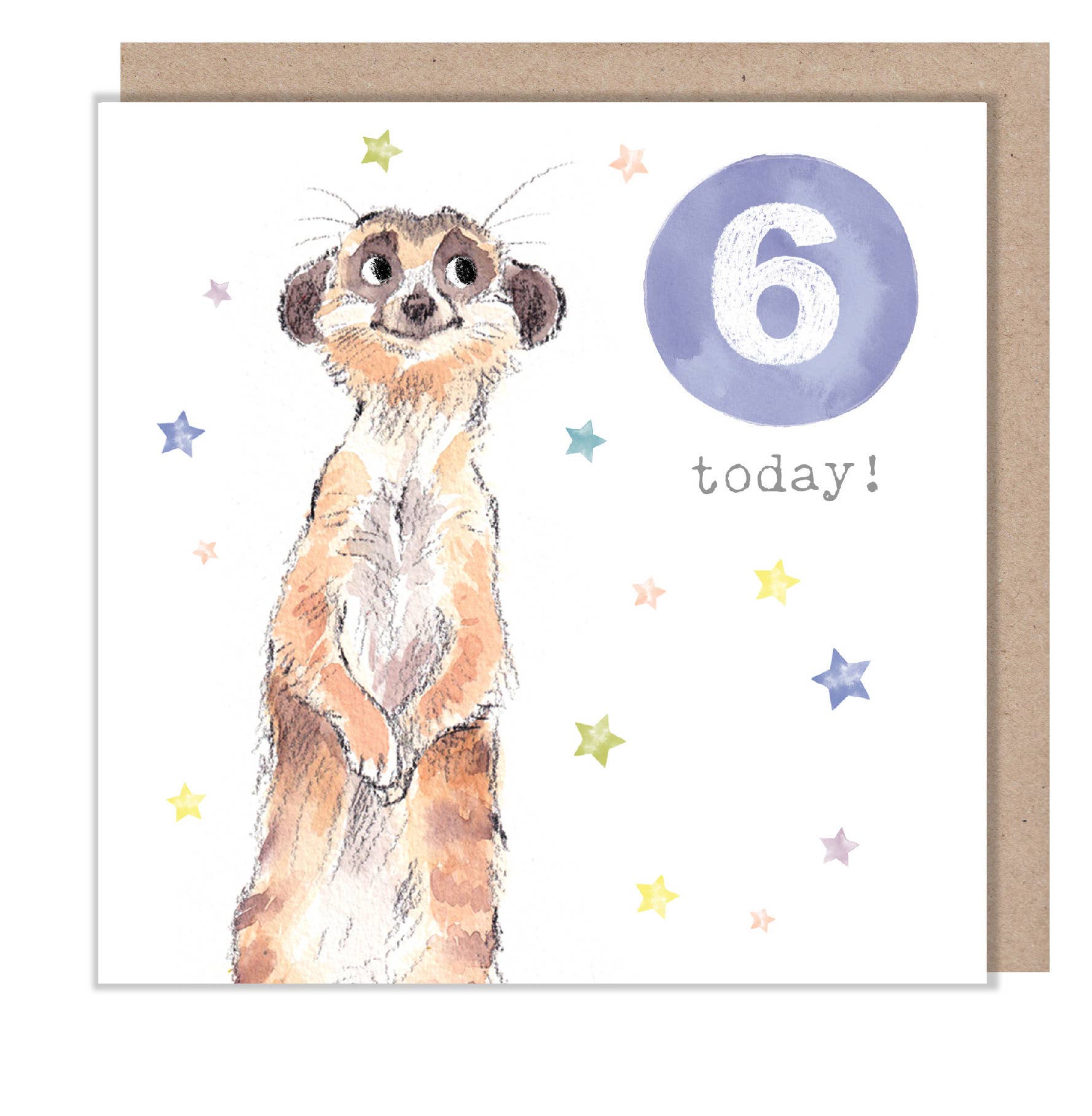 Age 6 Birthday Card - Meerkat design - Party Time