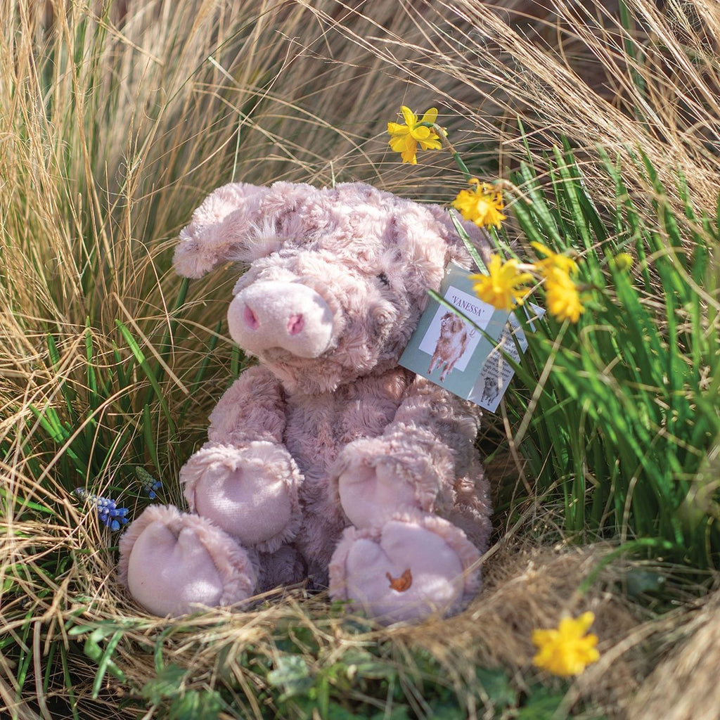 VANESSA - Wrendale Pig