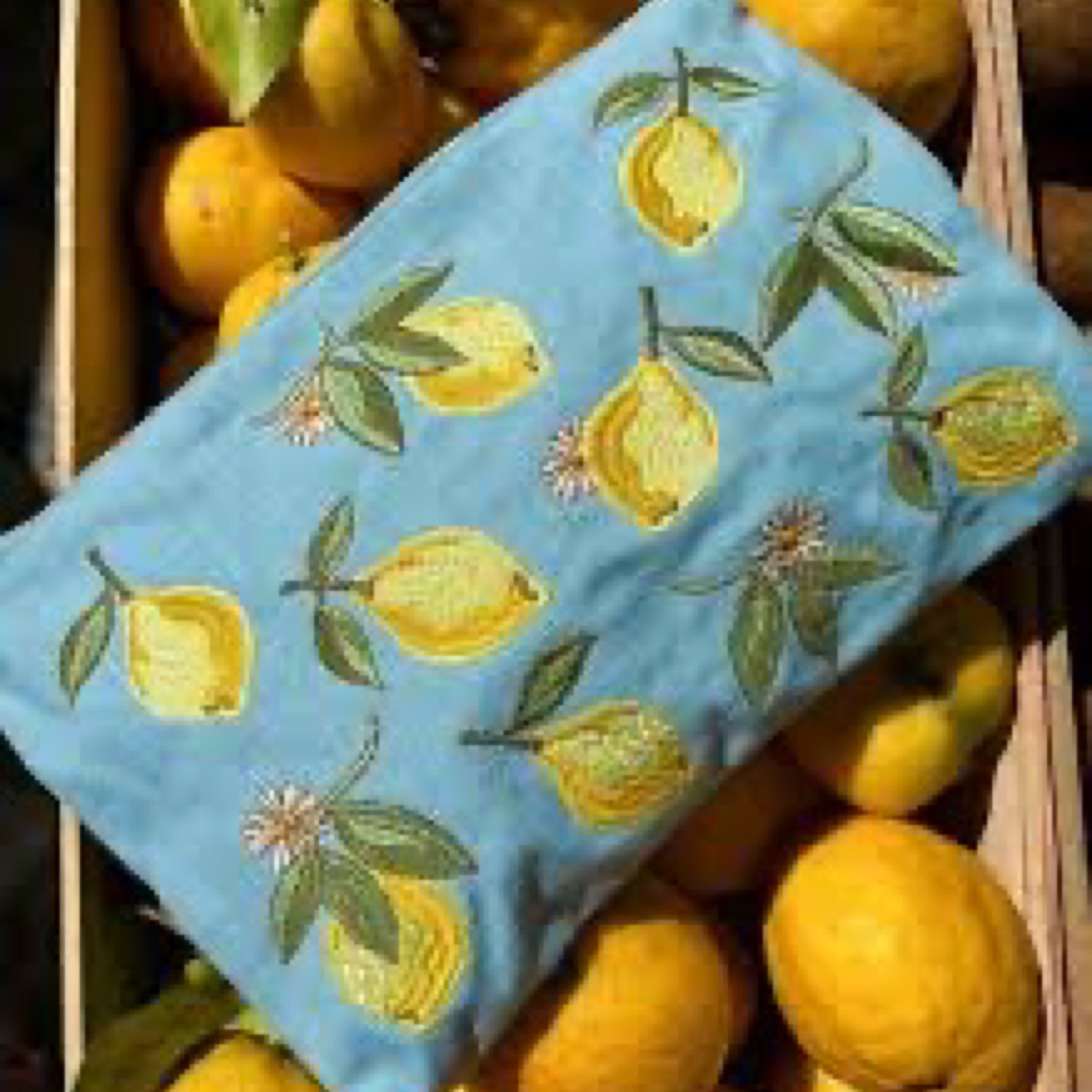 Elizabeth Scarlett Lemon French Blue Cotton Everyday Pouch