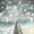 Swimming With The Gulls - Greeting Card