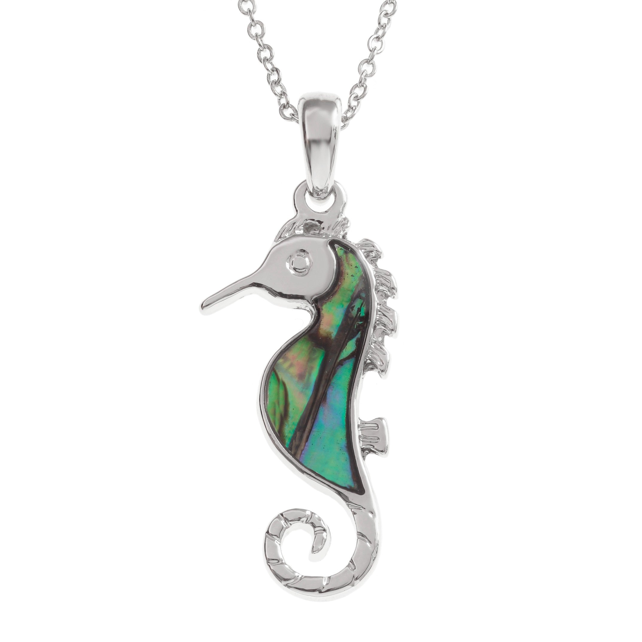Paua Seahorse Jewellery Set - Necklace and Earrings