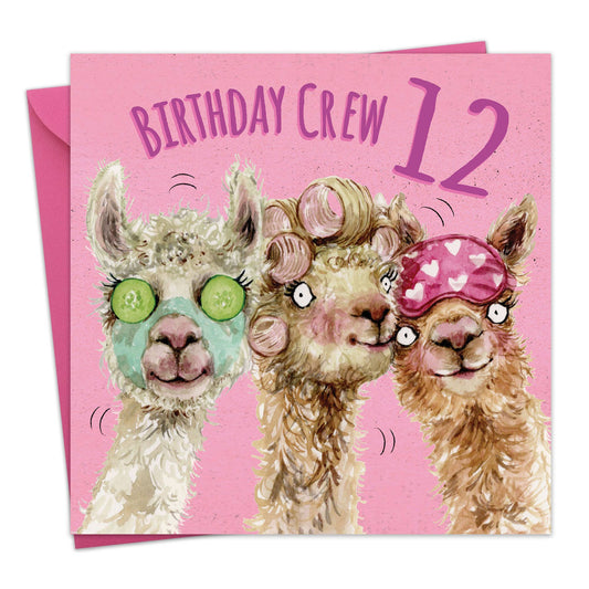 Age 12 Girls Birthday Card - Pamper - Alpaca